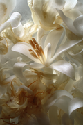 White Musk